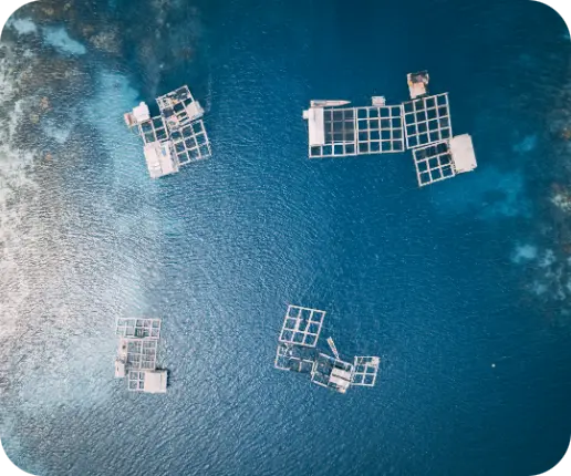 Future aquaculture projects and sustainable development